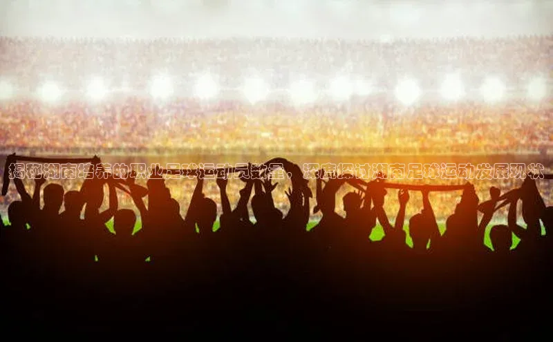 伟德国际手机1946挪威主权基金揭秘湖南培养的职业足球运动员数量，深度探讨湖南足球运动发展现状