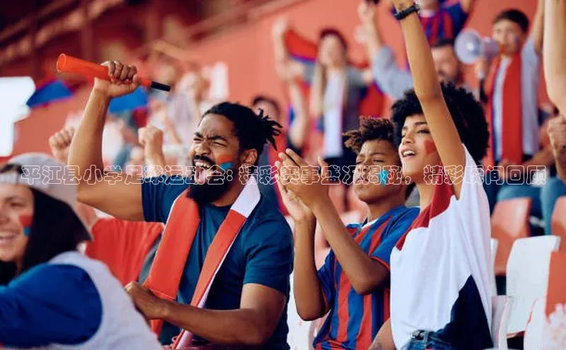 伟德BETVlCTOR1946官方网站百度营销中心平江县小学足球运动会: 精彩赛事盛况揭秘，精彩瞬间回顾