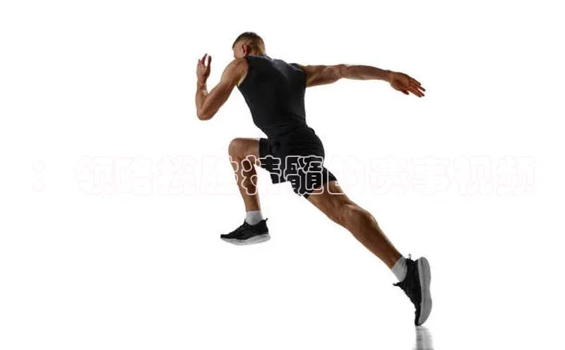 ：领略揽胜精髓的赛事视频