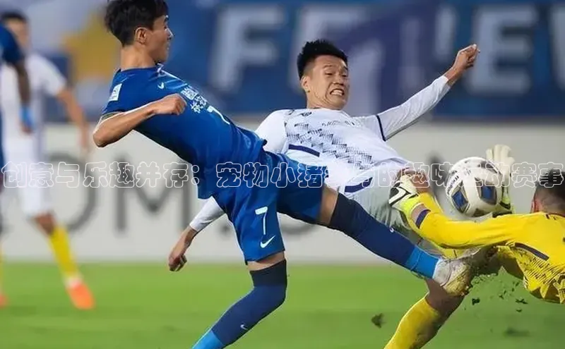 创意与乐趣并存：宠物小猪参与的趣味运动赛事