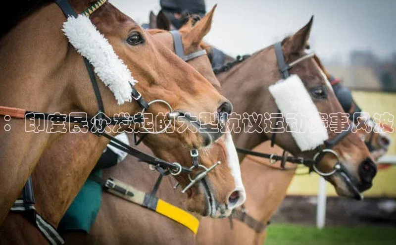 ：印度民众发起的大型抗议运动赛事风波
