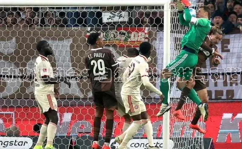 动物运动会：自然界的竞技与和谐