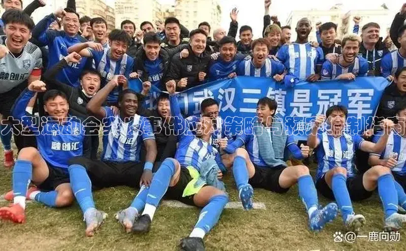 大型运动会突发事件应对策略与预案编制指南