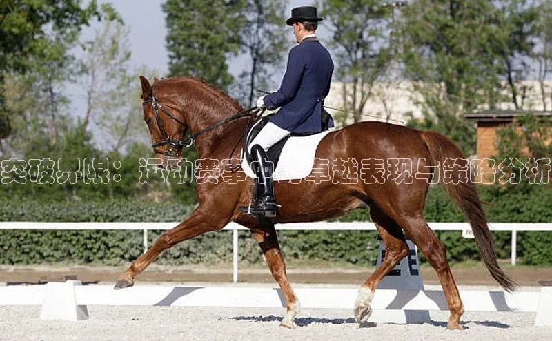 突破界限：运动赛事中的卓越表现与策略分析