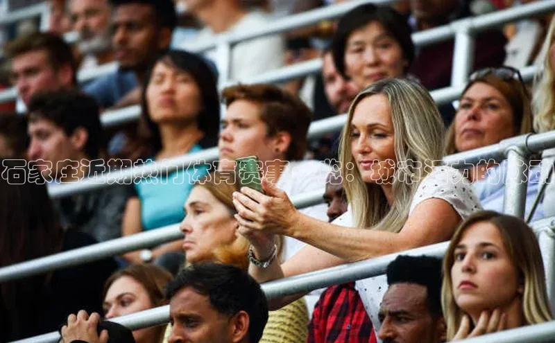 石家庄近期热门体育赛事一览：城市活力的脉动