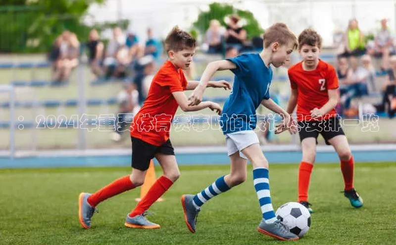 ：2024年重要体育赛事时间表详尽安排一览