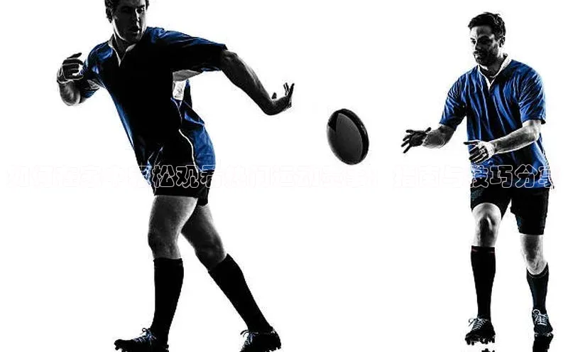 如何在家中轻松观看热门运动赛事：指南与技巧分享