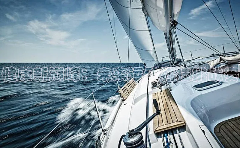 健康新巅峰：未来运动科技挑战赛