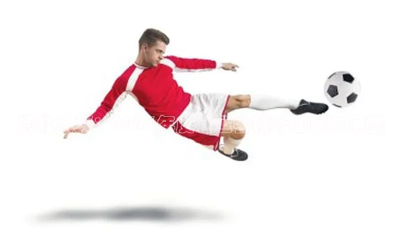 河北风采：2023年度省运会精彩回顾与展望