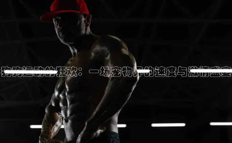 伟德bv1946官网首页