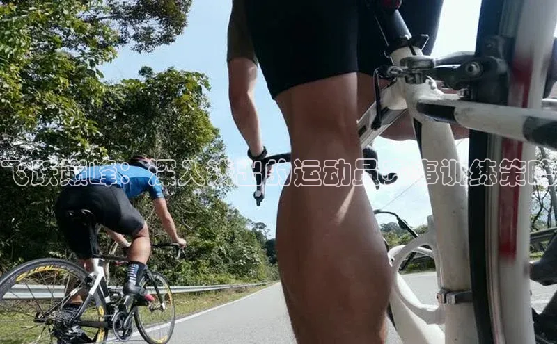 伟德BETVLCTOR客户端