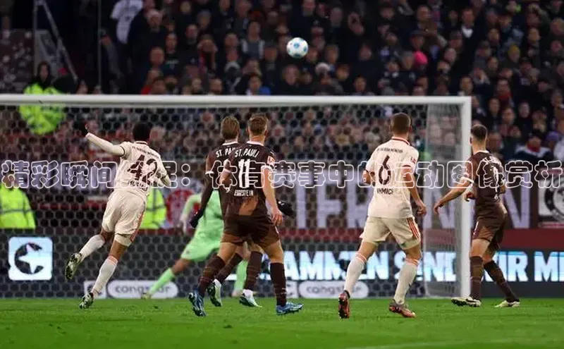 BETVICTOR伟德官网